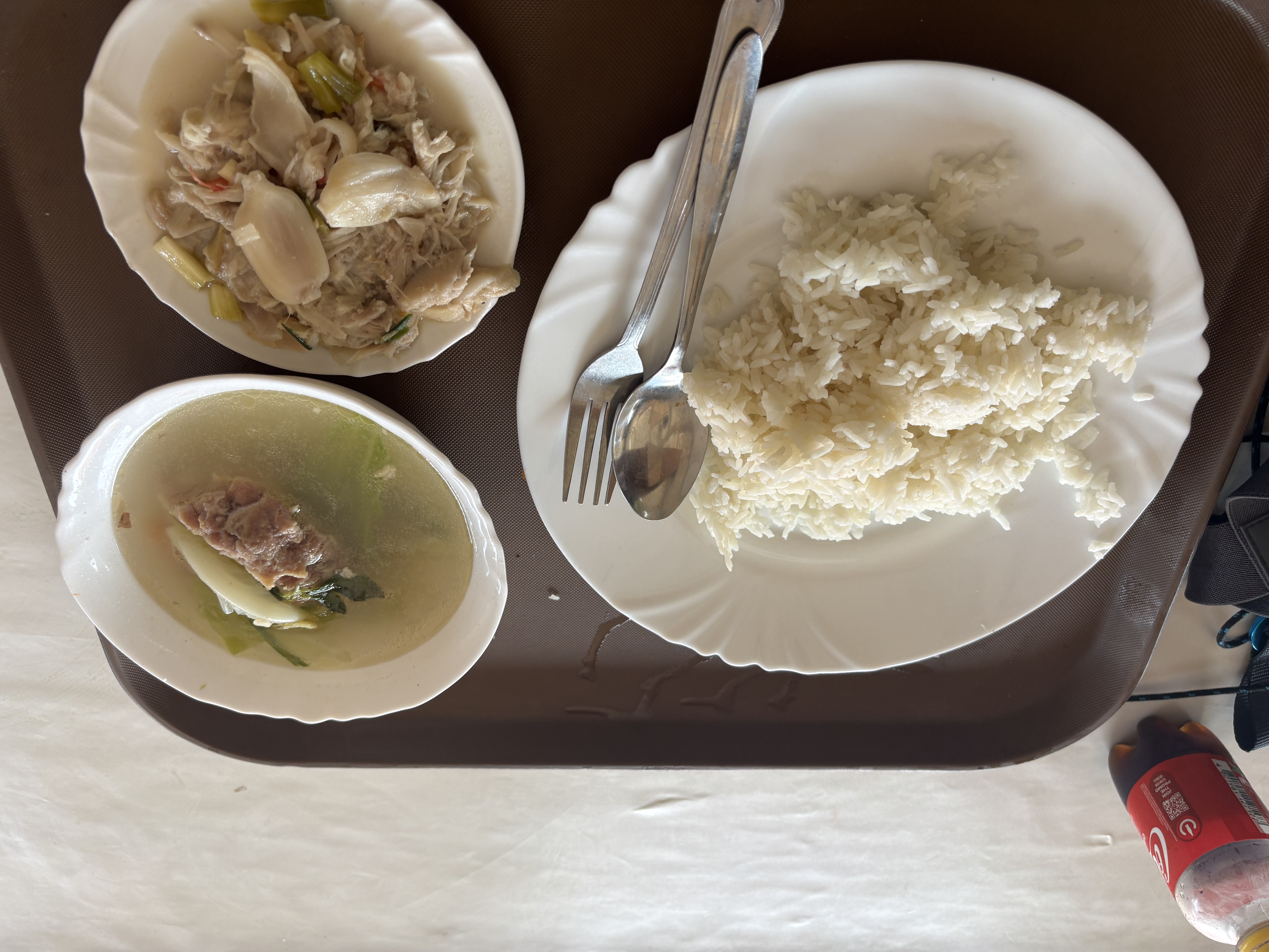 A meal at a carinderia in Toledo