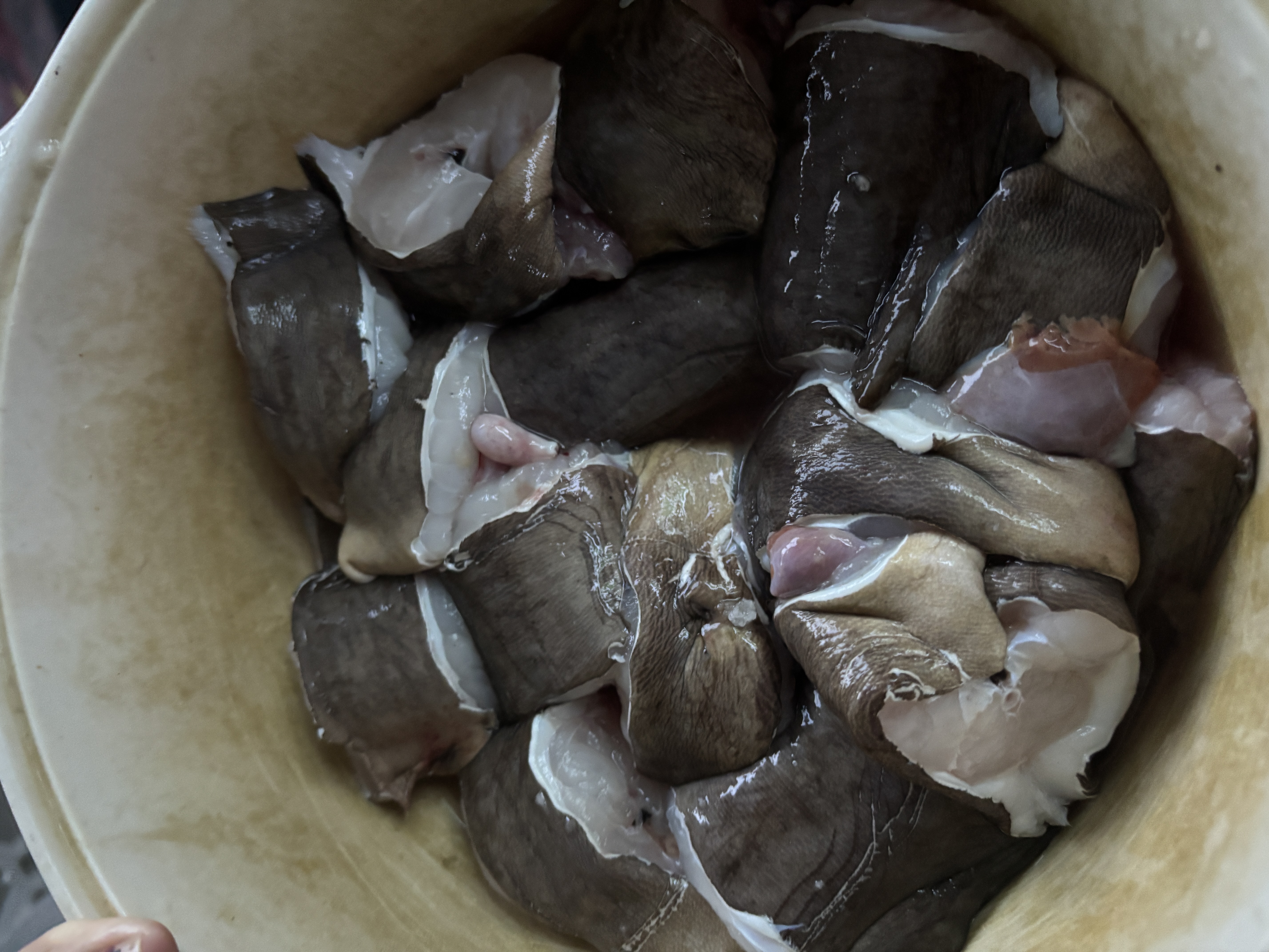 Small eels chopped and simmered, served as a local delicacy
