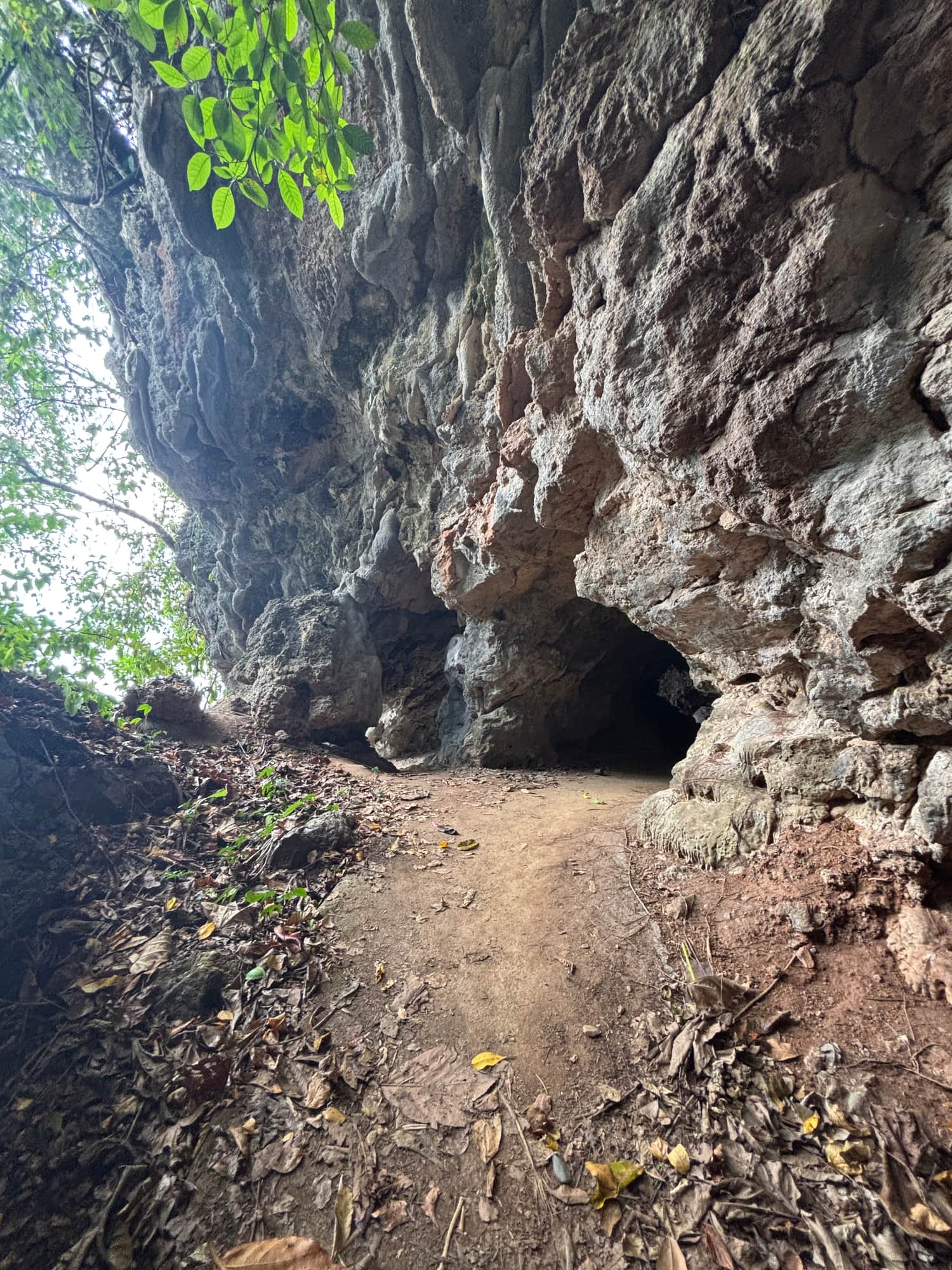 The dark entrance to a rocky alcove along the coastline