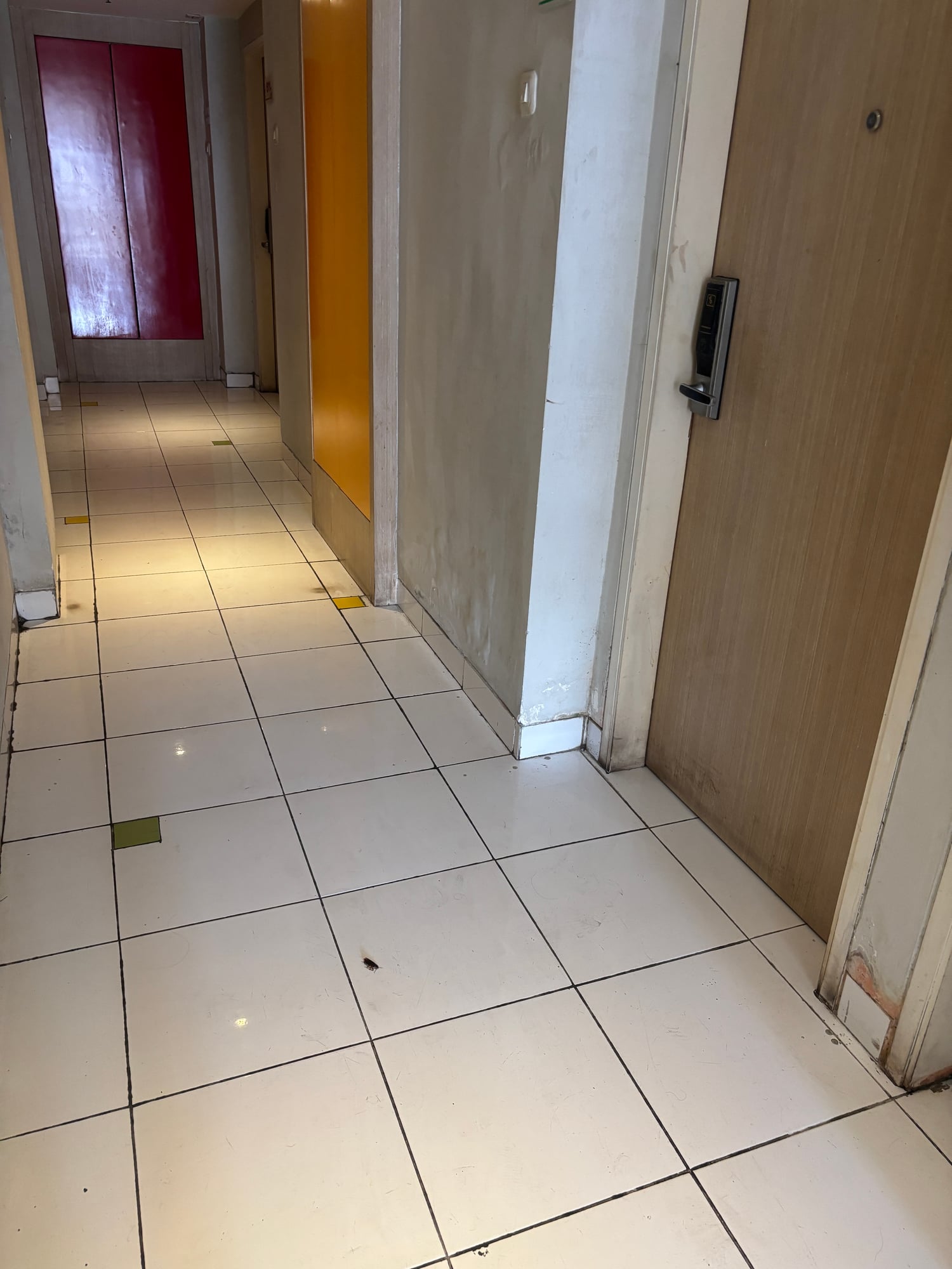 A dead cockroach on the tiled hallway floor outside my hotel room