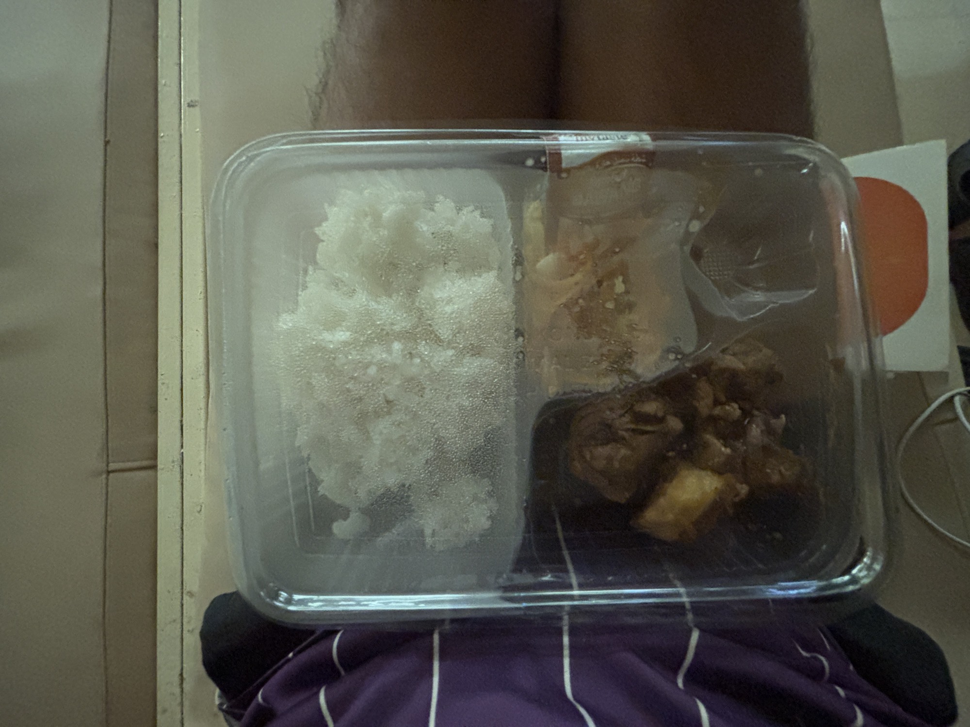 A surprisingly good boxed meal with rice, vegetables, and meat handed out on the ship