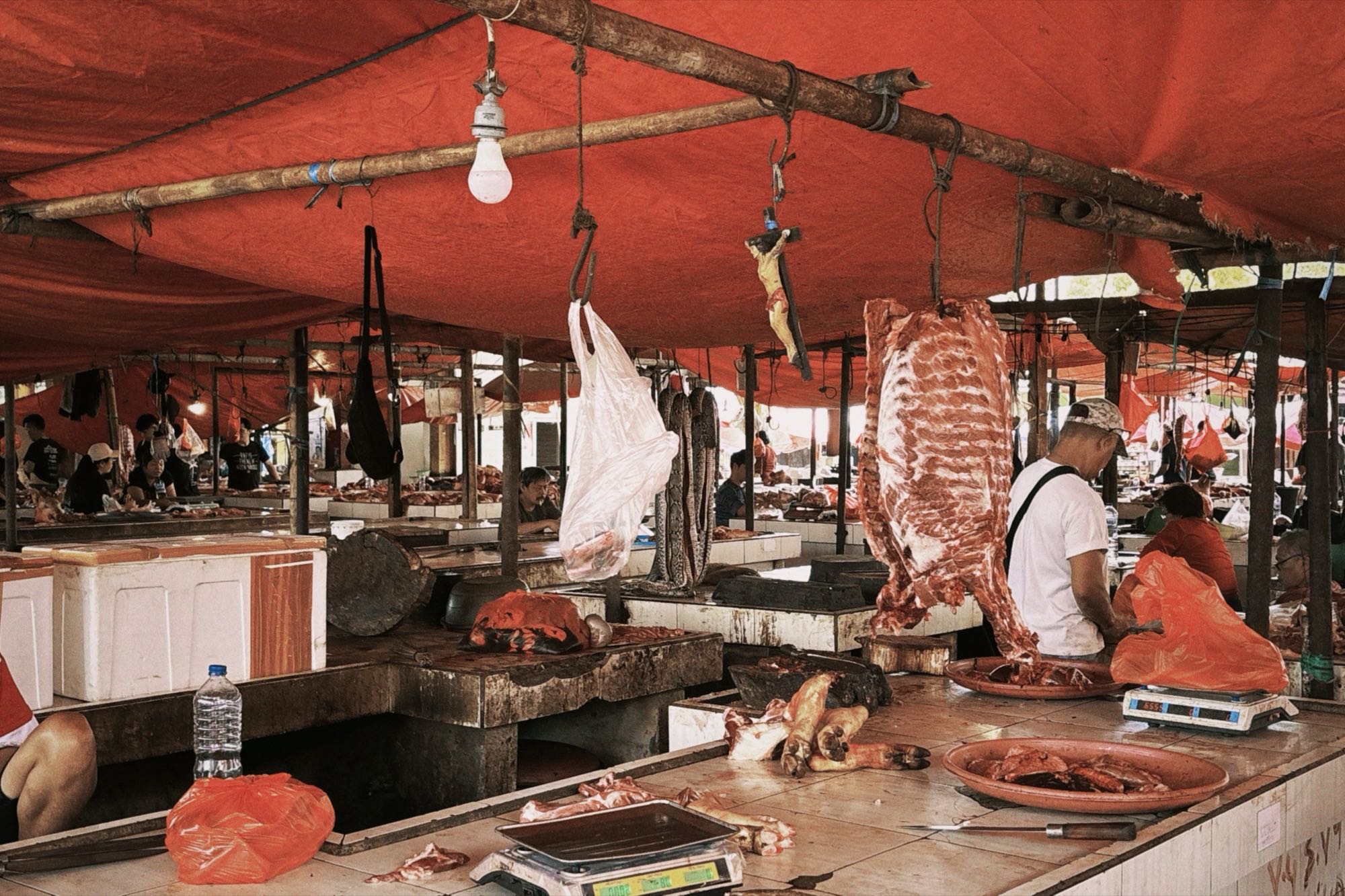 Stepping into the hidden butcher section of the Tomohon Extreme Market