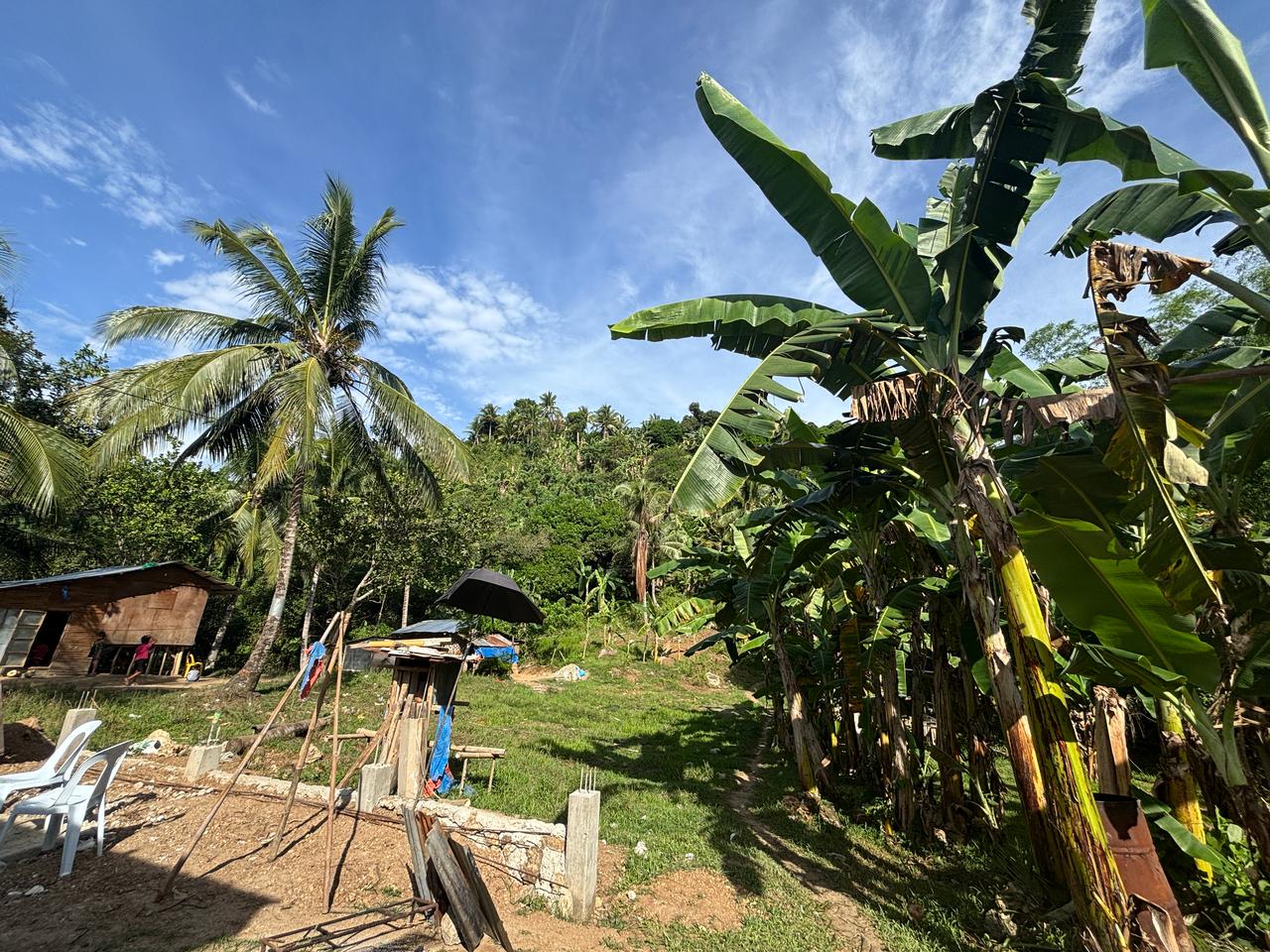 Morning view from the jungle mountains of Cebu