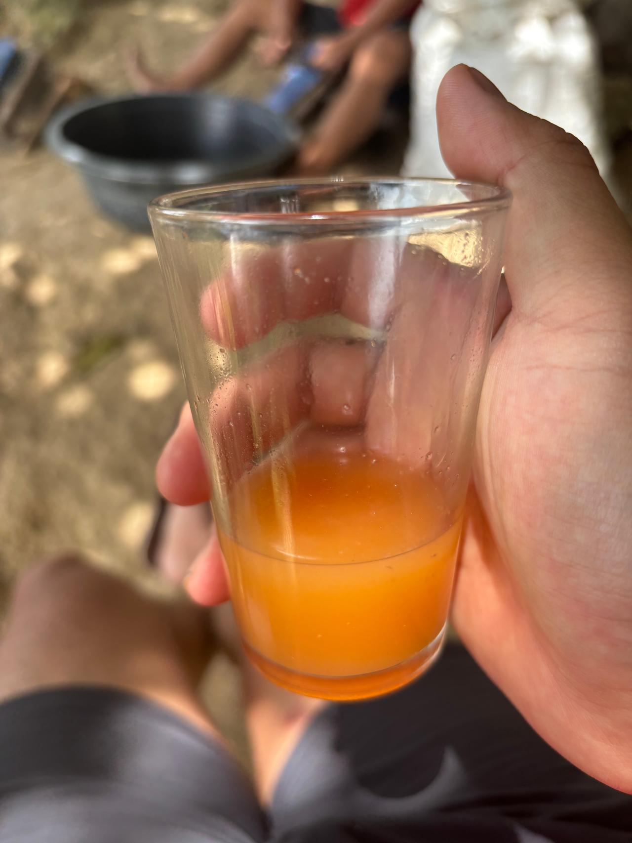 A glass of tuba, the local fermented coconut drink