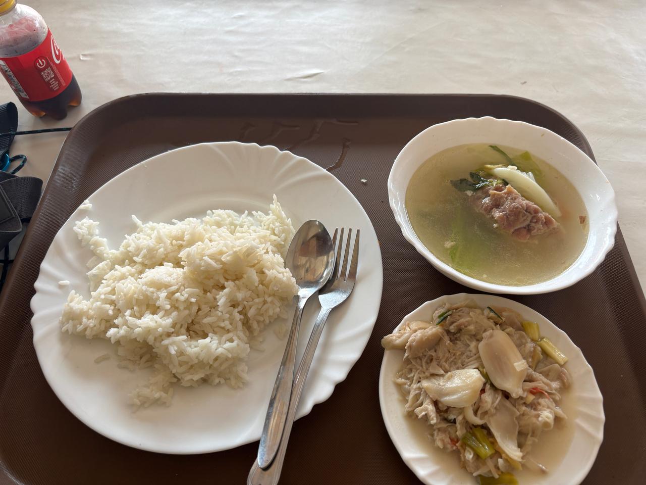 A meal at a carinderia in Toledo