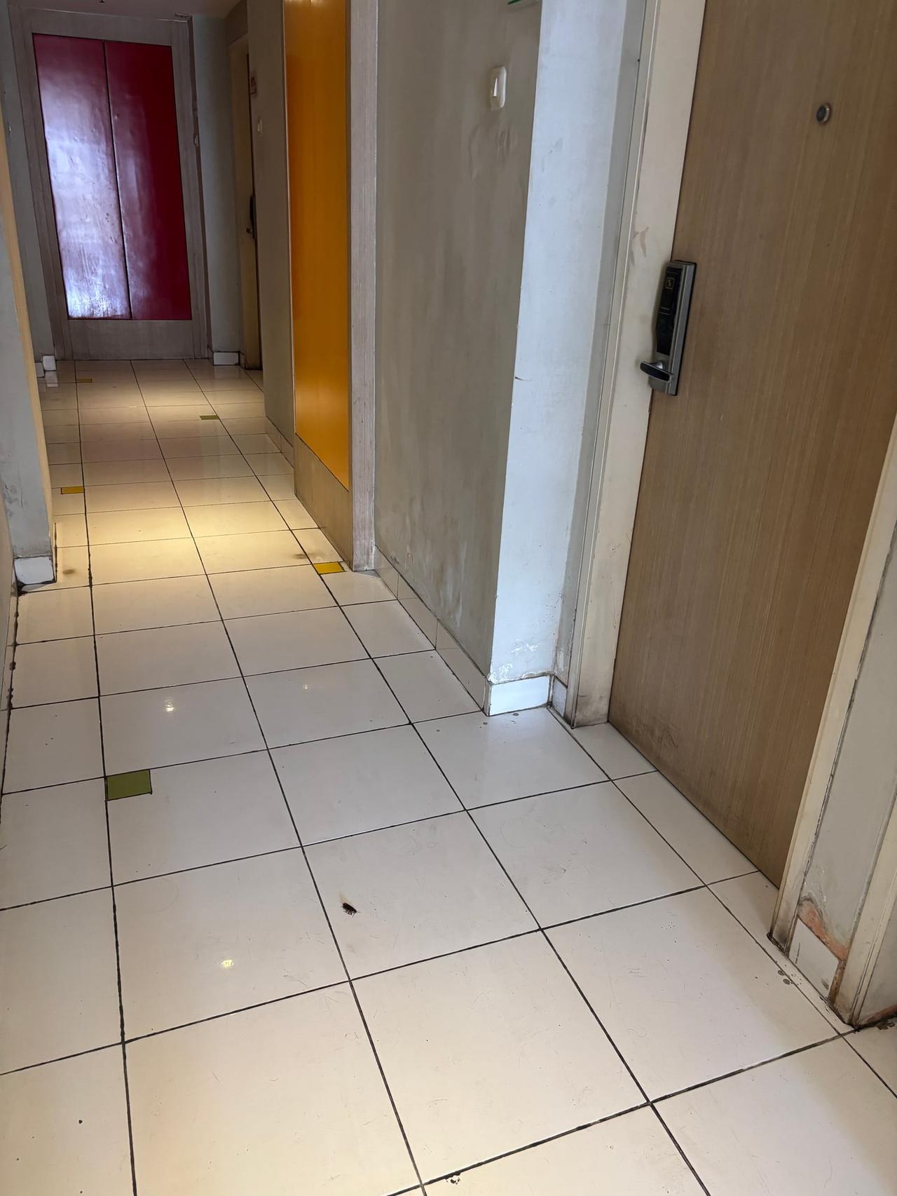 A dead cockroach on the tiled hallway floor outside my hotel room