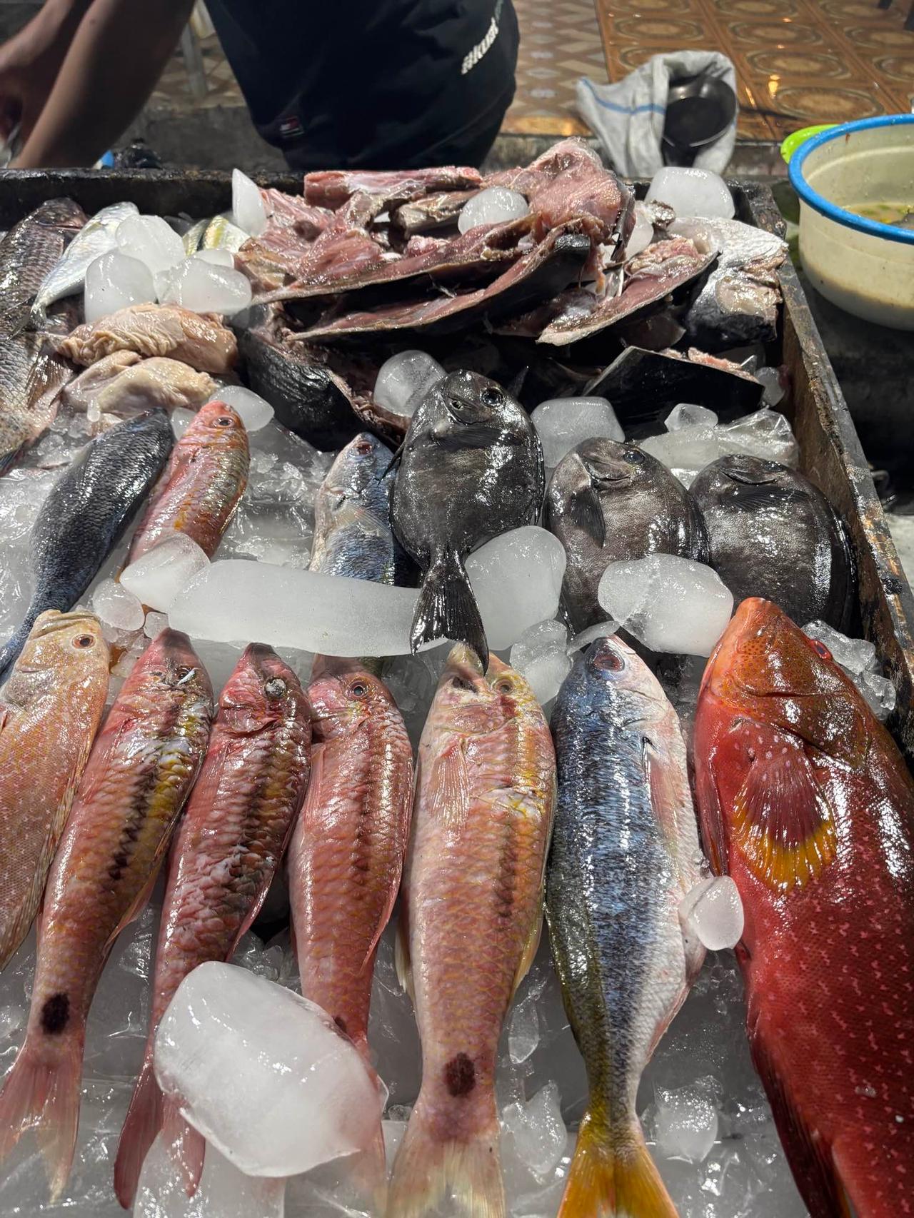 Tampilan ikan segar berwarna-warni di atas es di warung seafood