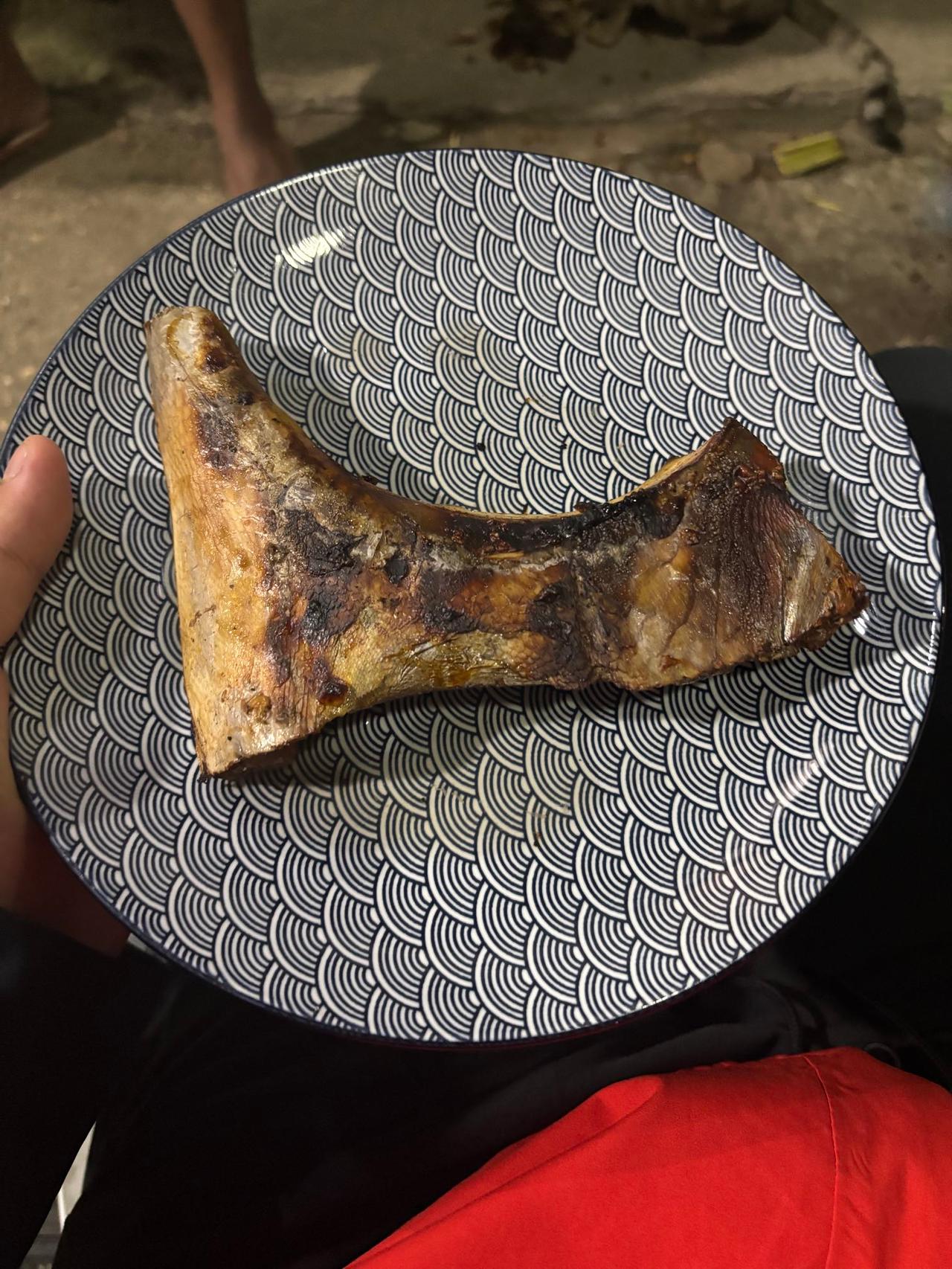 A hand holding a plate with a piece of grilled fish at a nighttime street gathering