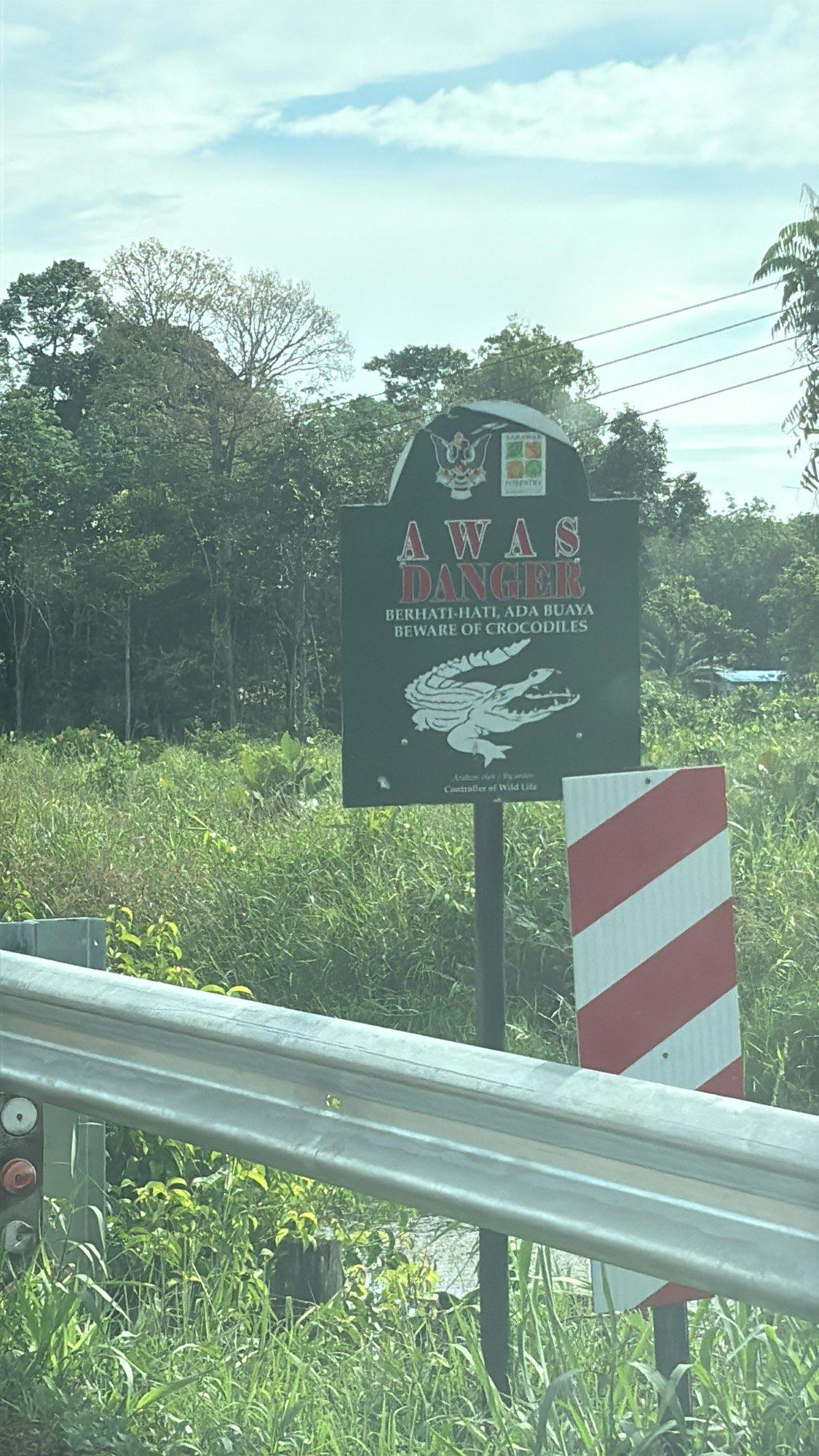 A "Beware of Crocodiles" warning sign along the road