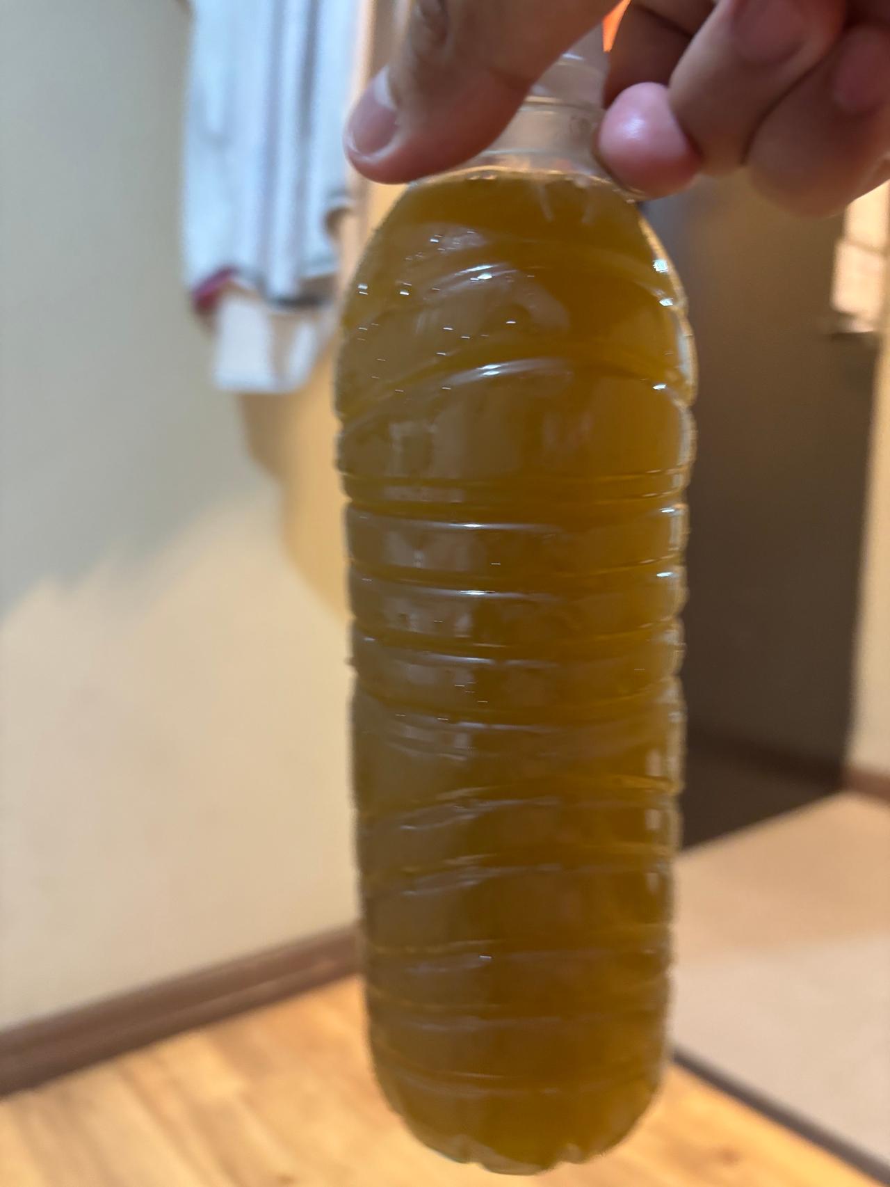 Holding a bottle of the murky, brownish TEBU drink