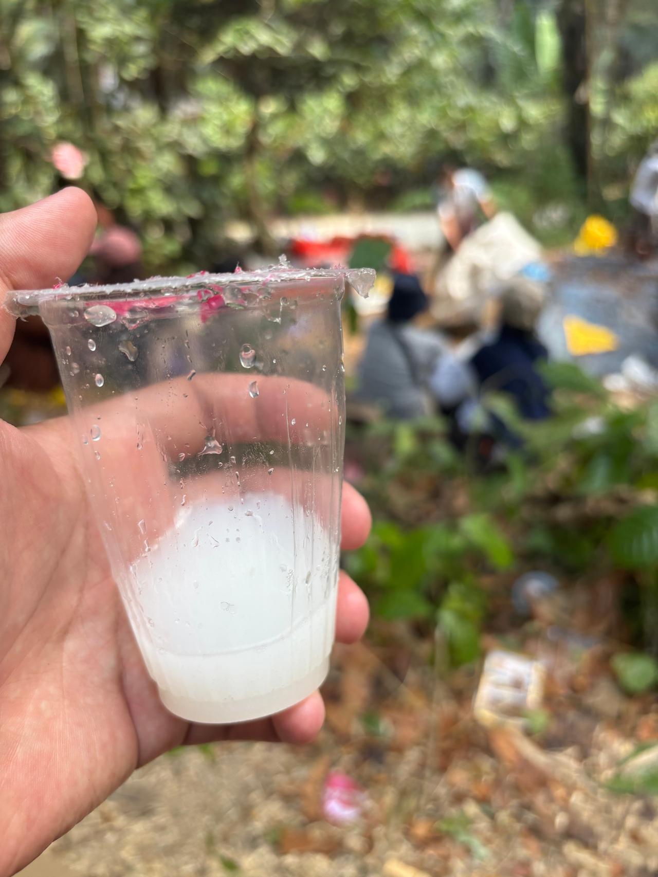 A plastic cup filled with cloudy white fermented Ballo palm wine