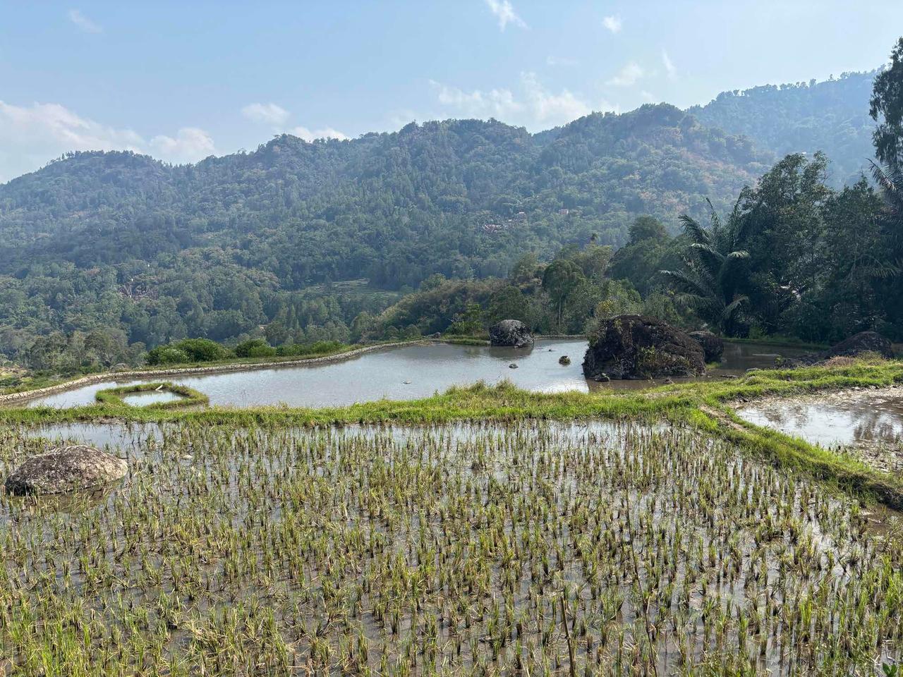 Terraced rice paddies filled with mirror-like water reflecting the surrounding hills