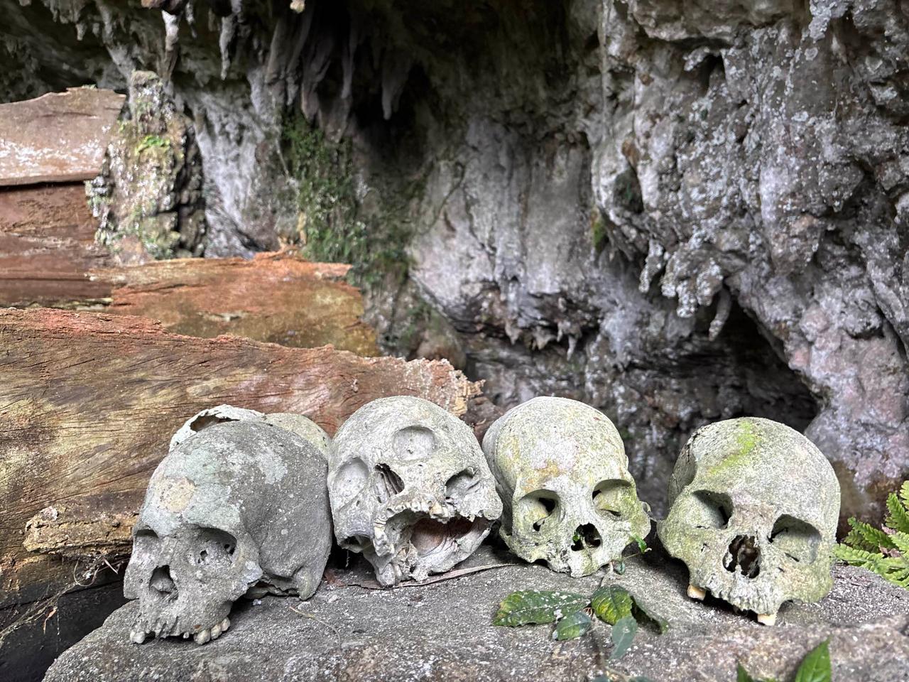Four weathered human skulls resting on a rock ledge beside an old wooden coffin at Tonga Riu