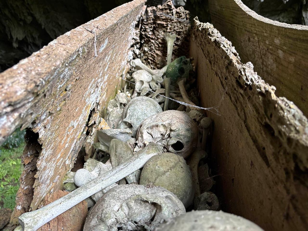 Skulls and bones resting inside a decayed wooden coffin split open at Tonga Riu