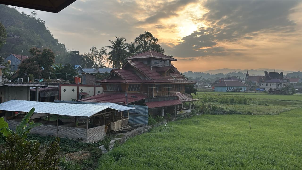 A misty morning view of a traditional Torajan house and rice fields at sunrise