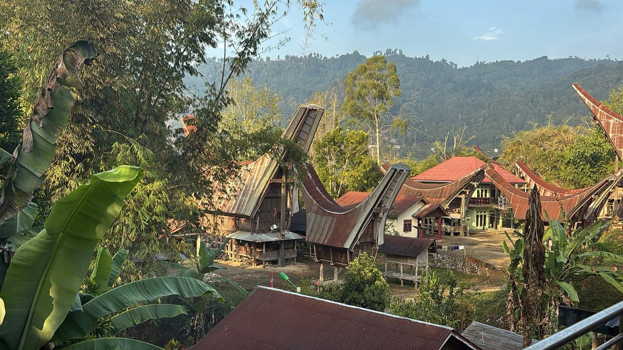 Traditional Tongkonan houses with boat-shaped roofs lit by the morning sun in a mountain village