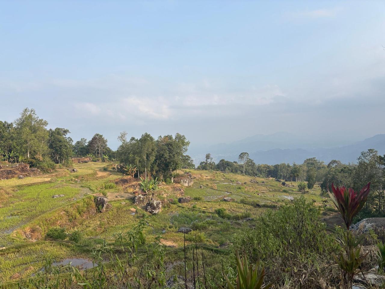 Terraced rice fields on a high ridge overlooking a misty valley at dusk