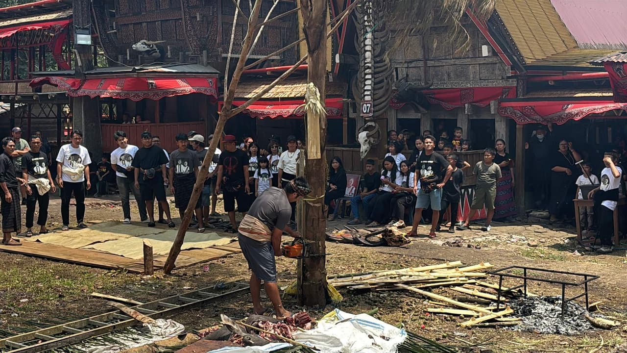 A man cutting down a tree trunk with a chainsaw in the middle of the ceremony grounds as a crowd looks on