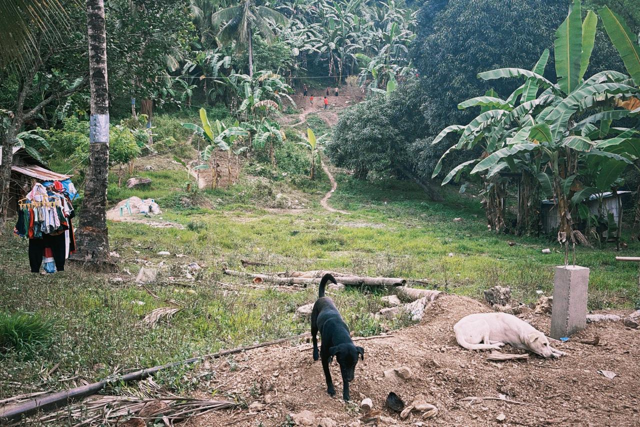 Arriving at the lush mountain jungle destination