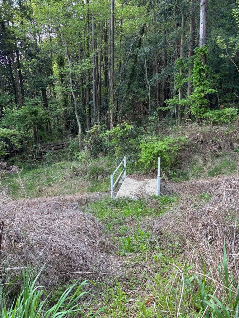 A path leading to a small concrete bridge surrounded by lush green vegetation and trees in a forested area.
