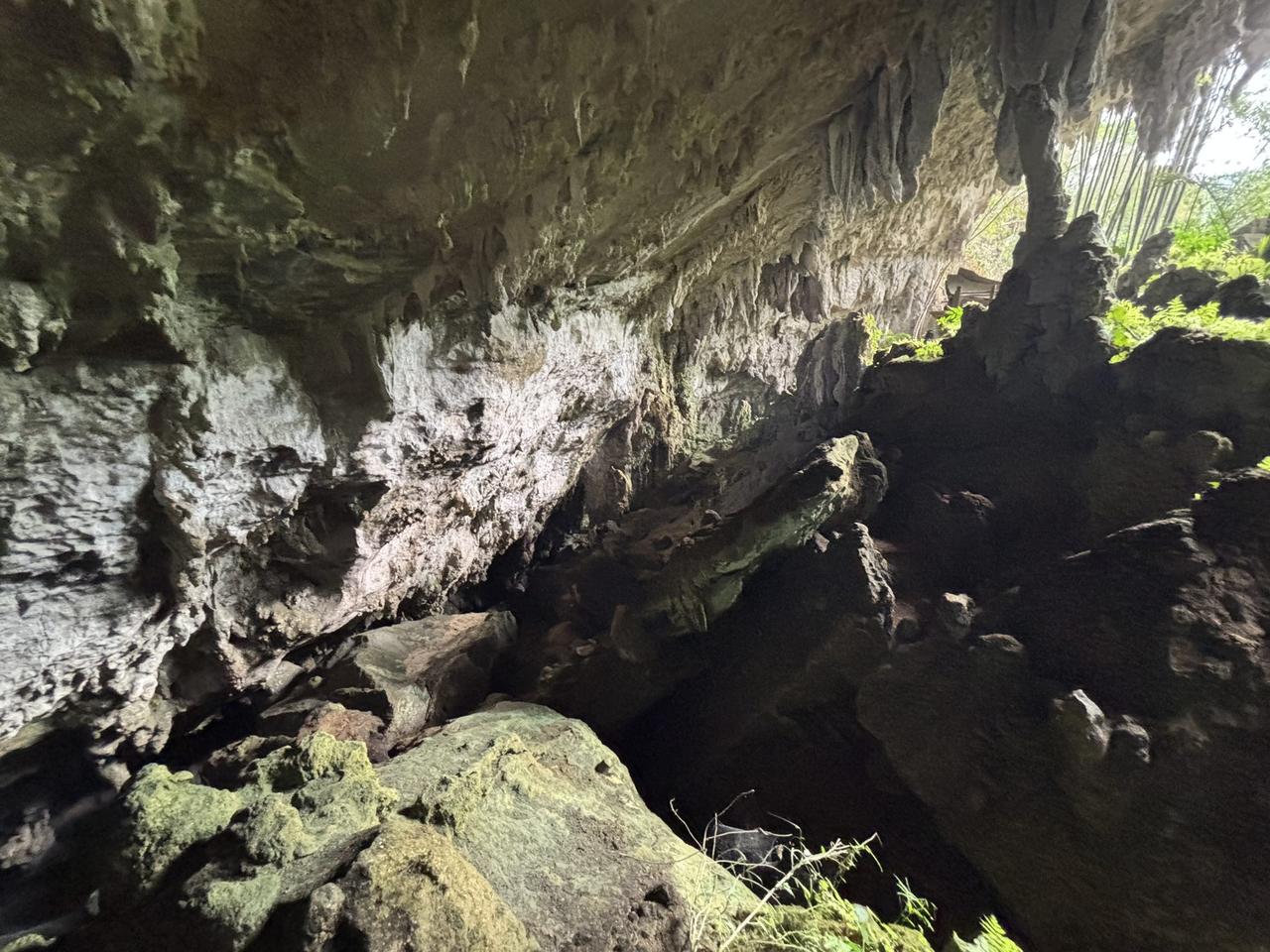 Looking into the limestone cave at Lombok Parinding, stalactites hanging overhead and an opening to daylight visible in the distance.