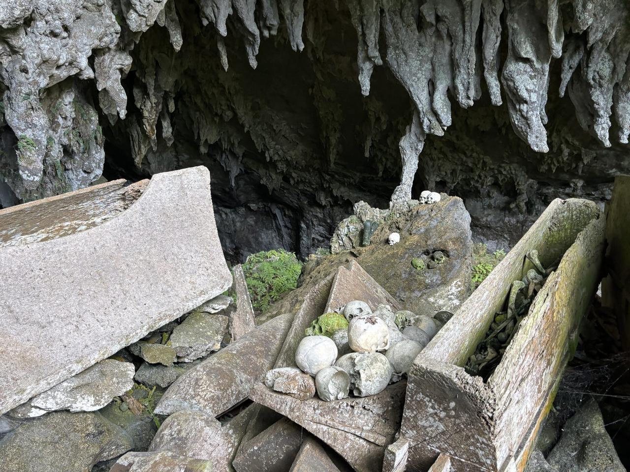 Skulls resting on a moss-covered rock outcrop deep inside the cave, stalactites hanging above.
