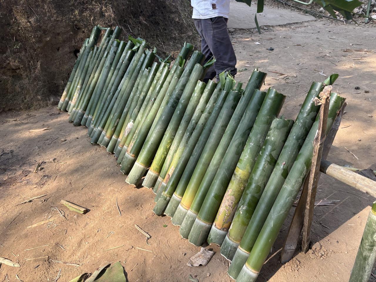 Dozens of bamboo tubes packed with meat and leaves, standing upright in a row against a dirt slope.