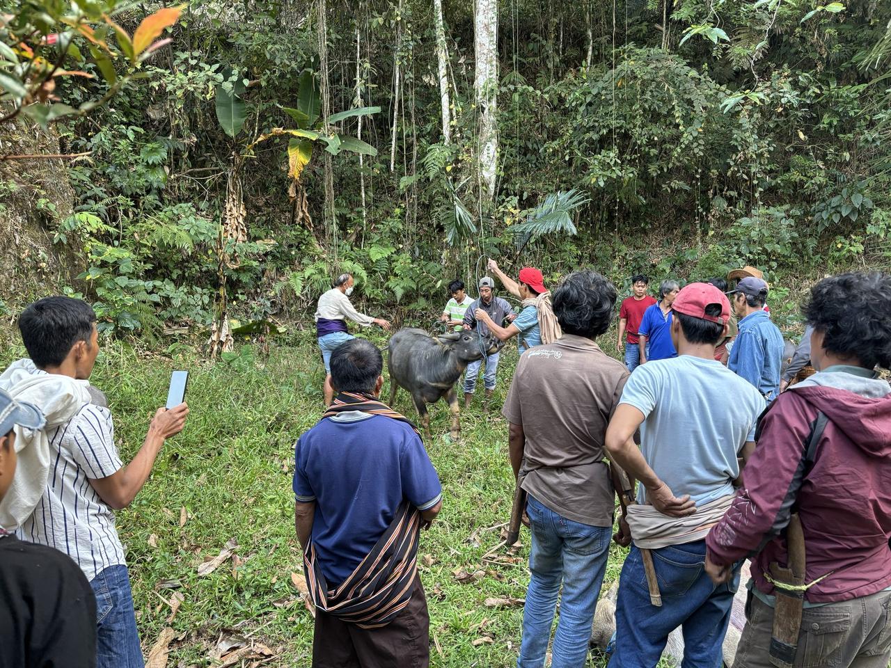Family members gathered around a water buffalo in a forest clearing during the ceremony.