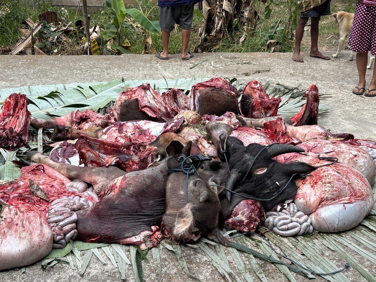 A large pile of freshly butchered meat and organs spread across banana leaves.