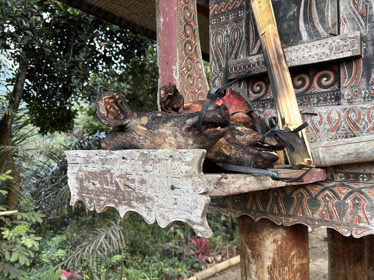 A pig's head displayed on the carved wooden balcony rail of a tongkonan house.