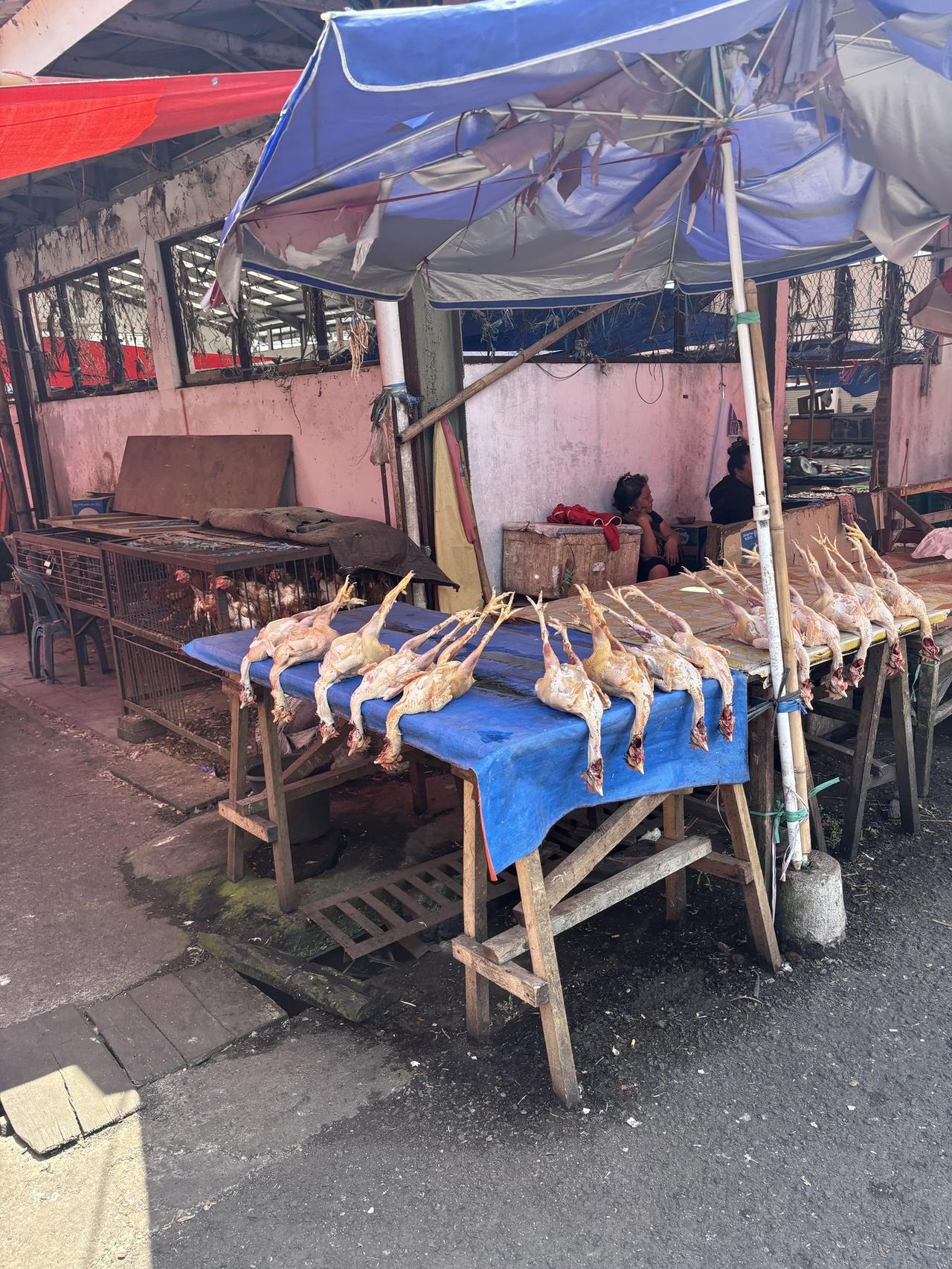 Ayam-ayam utuh digantung terbalik di sepanjang meja lapak, dengan unggas hidup masih terkurung tepat di belakangnya.