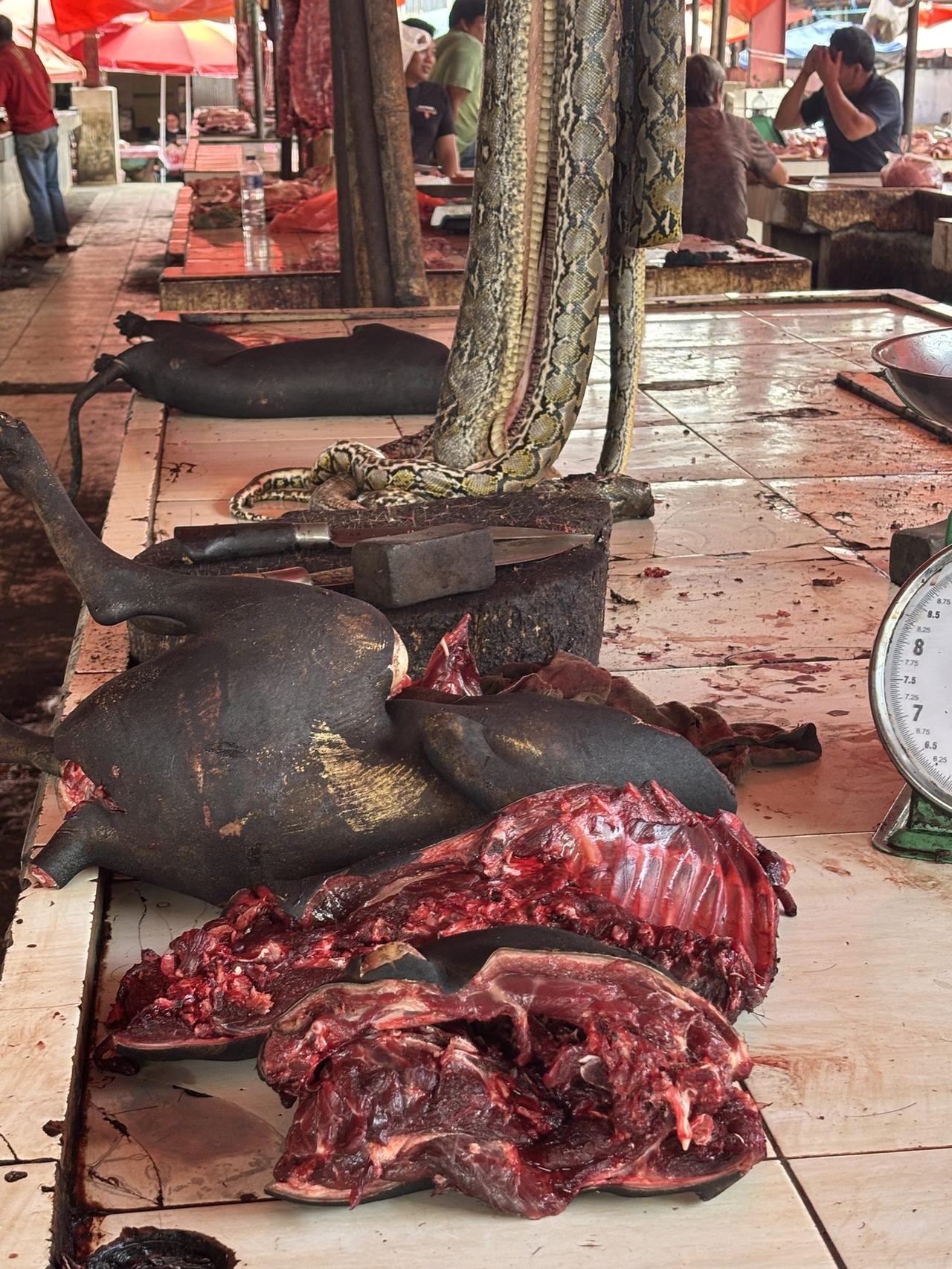 Anjing yang telah disembelih terbaring terbuka di atas talenan, seekor piton melingkar longgar di sampingnya — dua barang paling tidak biasa di pasar ini, berdampingan.
