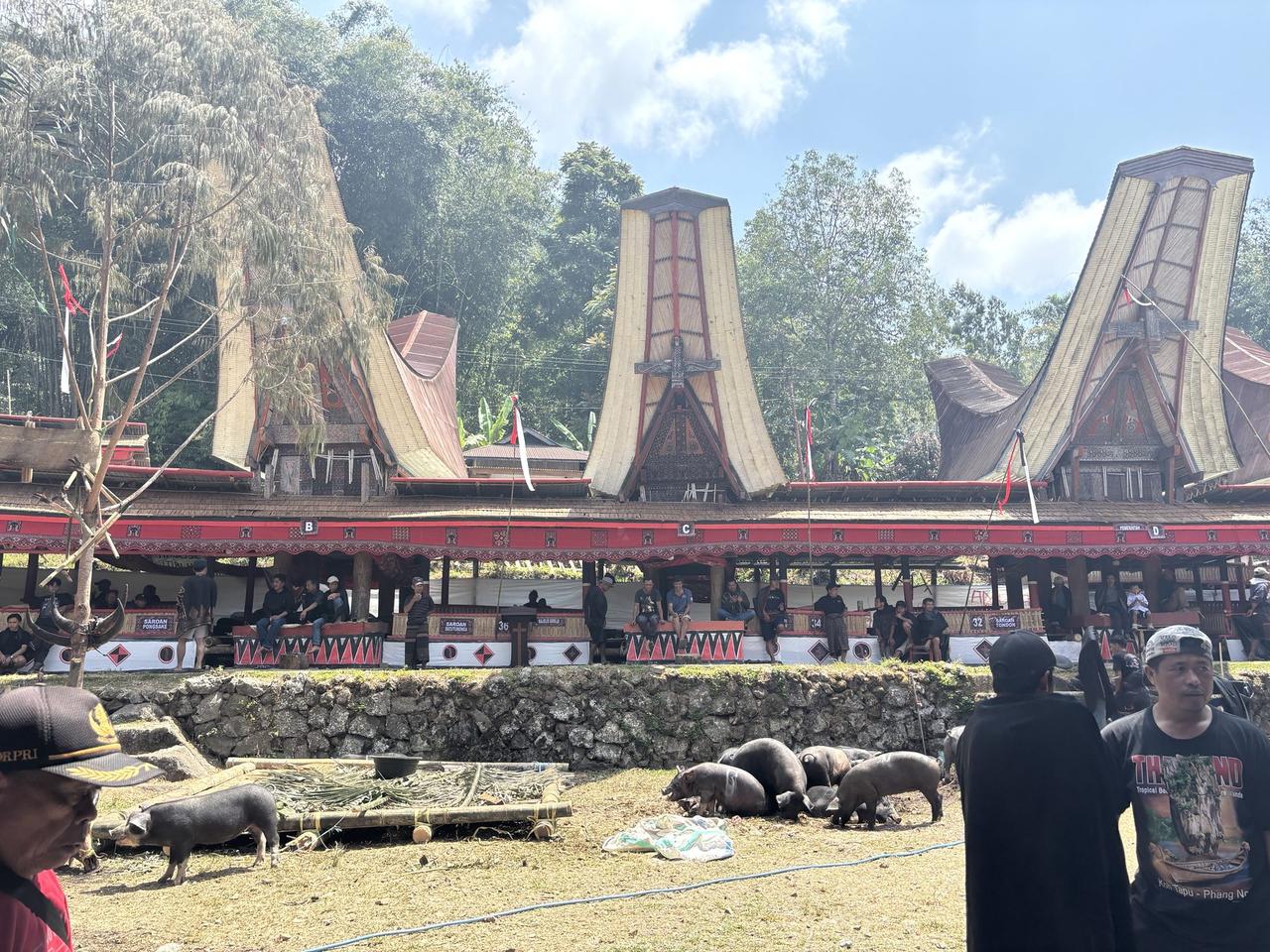A wide view of the ceremony compound, tall saddleback-roofed buildings and lettered guest pavilions, small pigs wandering in the foreground.