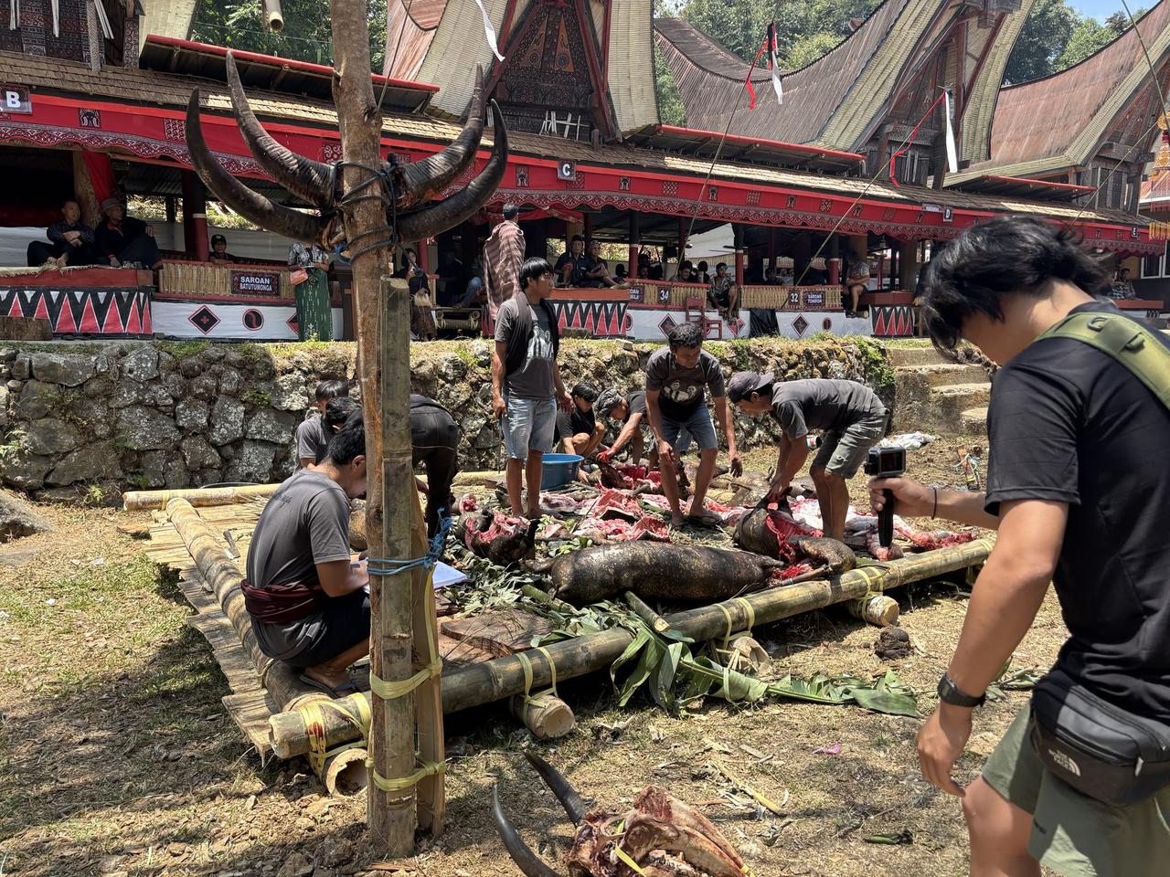 A group of men butchering a pig on a bamboo platform in front of the ceremony's guest pavilions, buffalo horns mounted on a pole nearby.