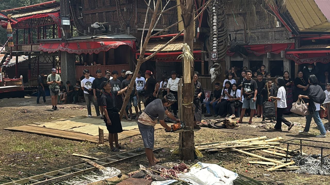 A man cutting down a tree trunk with a chainsaw in the plaza, a crowd of people wearing memorial t-shirts watching.