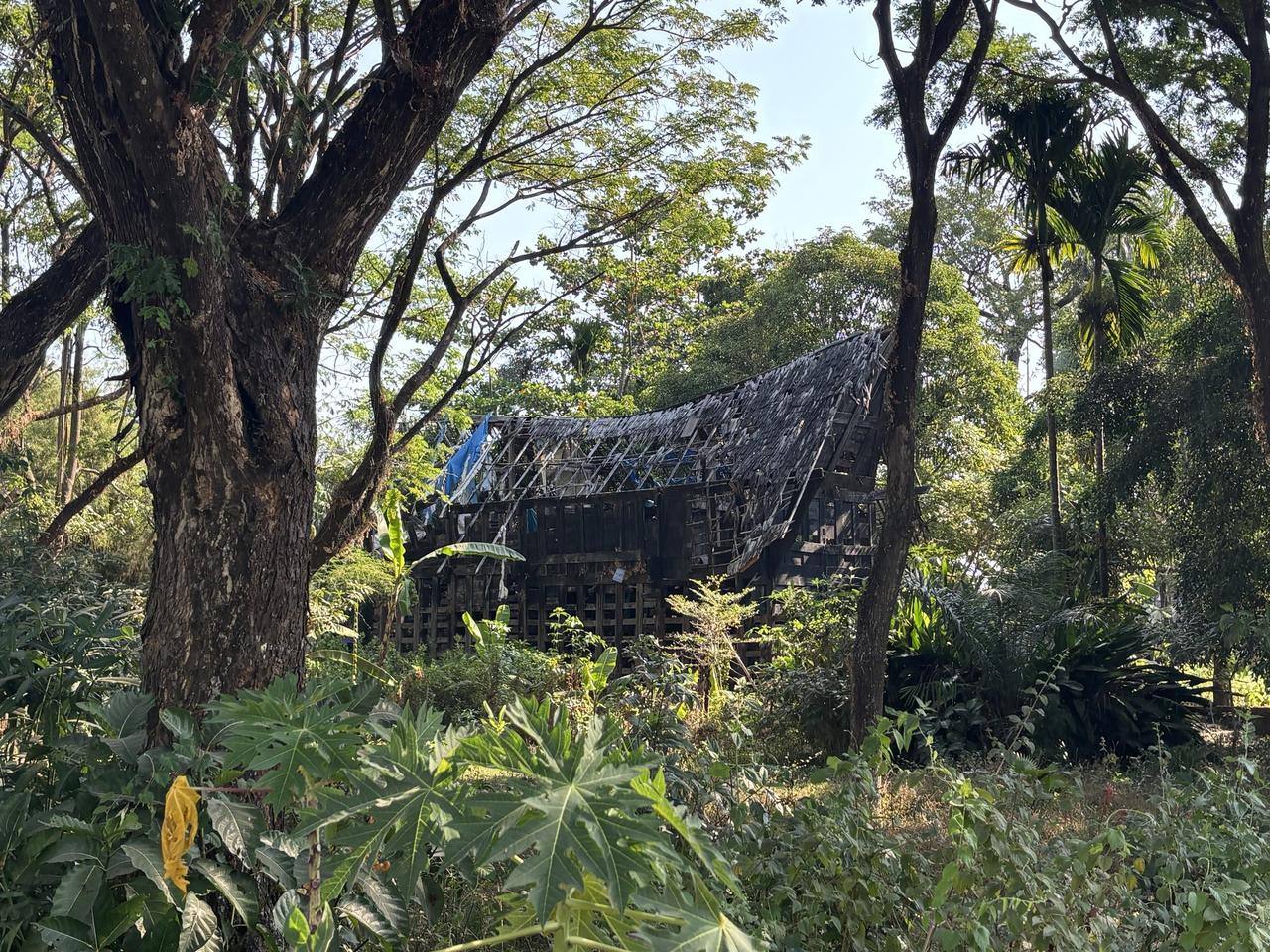 Sebuah rumah tongkonan Toraja dengan atap yang sebagian ambruk, rangka kayunya terbuka menghadap pepohonan di sekitarnya.