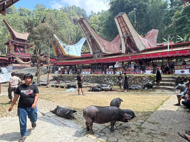 Touching the Torajan View of Life and Death: The Grand Rambu Solo Funeral