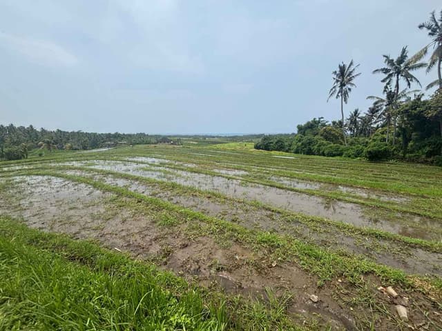 🇮🇩 Cycling Through Bali: Steep Hills, Small Joys, and Unexpected Help