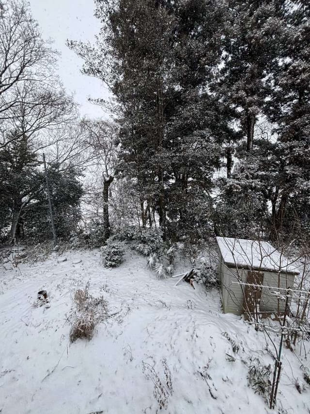 A Snowy Homecoming: 10-Year Reunions and the Taste of My Father's Cooking