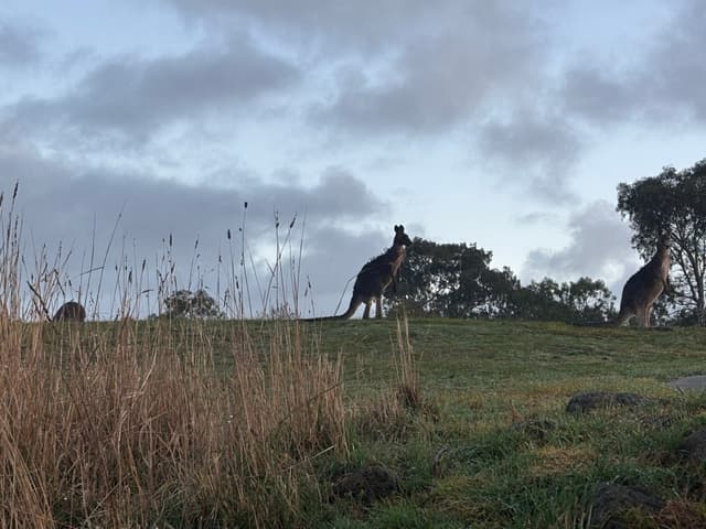 🇦🇺 Cold Mornings, New Gear, and an Unexpected Camp in Brunswick