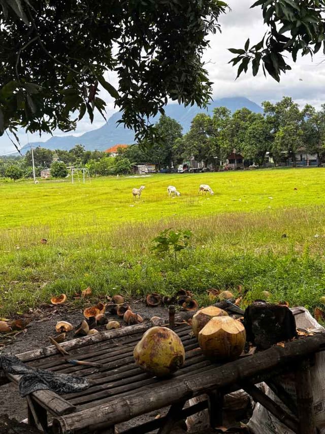 🇮🇩 A Rainy Climb to Mojokerto and the Kindness Found Along the Way