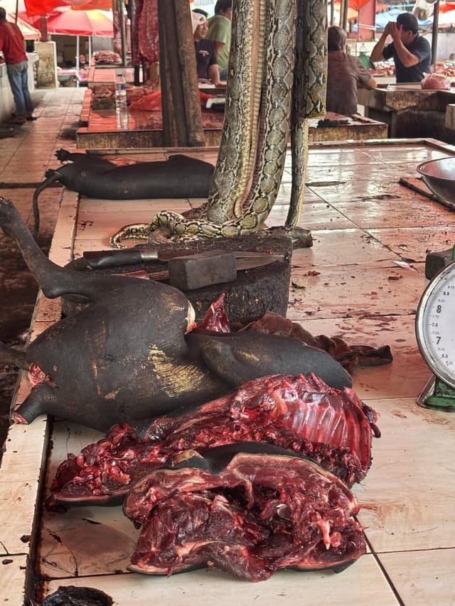 Pasar Extreme: Pasar Tomohon yang Menjual Apa Saja yang Bisa Dimakan
