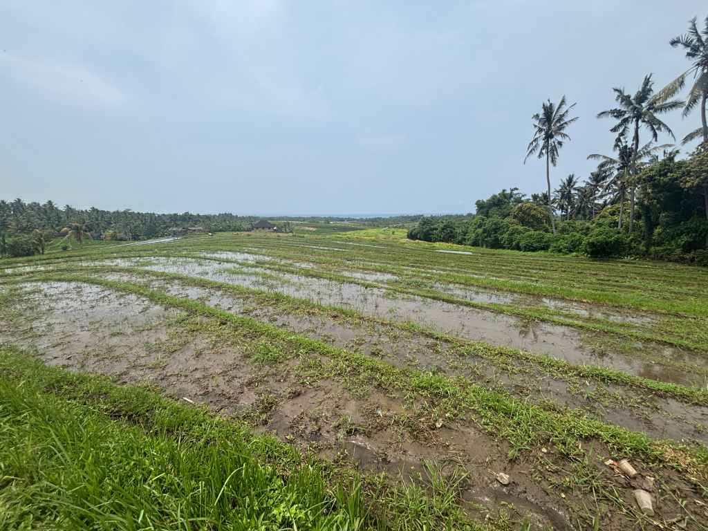 🇮🇩 Cycling Through Bali: Steep Hills, Small Joys, and Unexpected Help