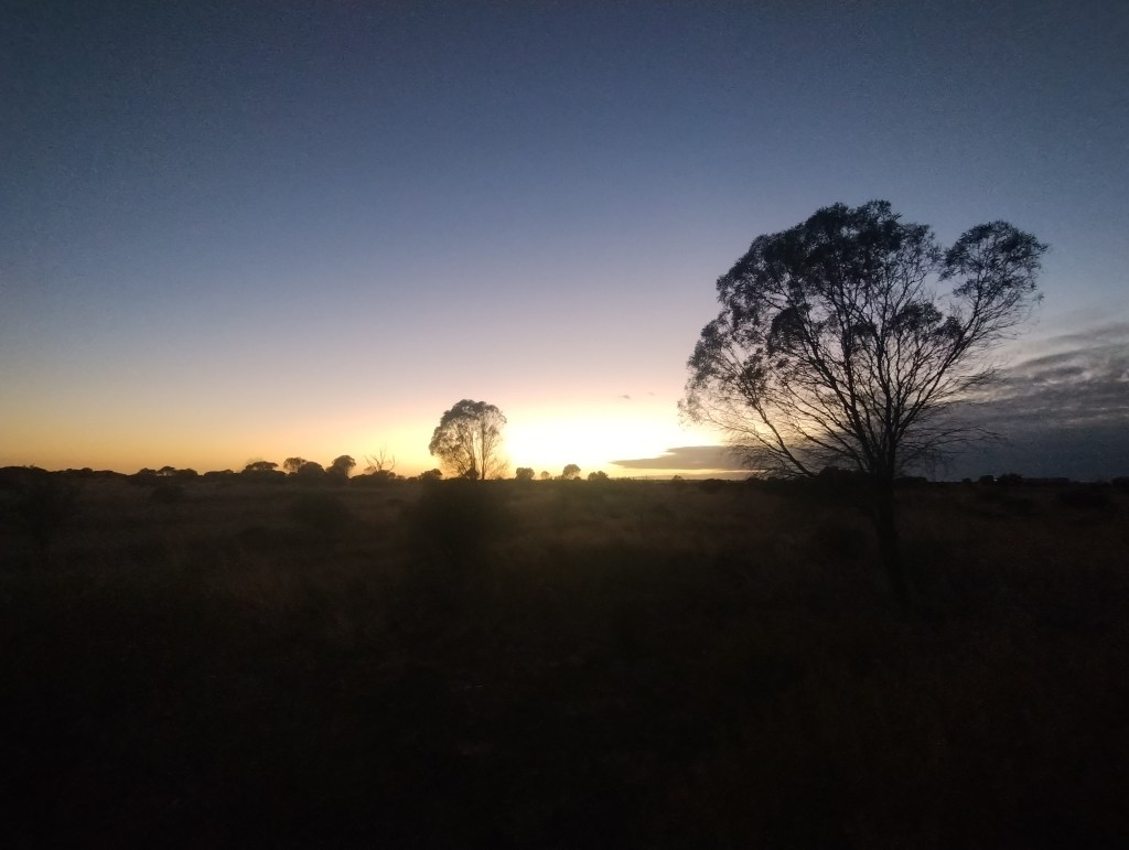 🇦🇺 Cycling the Nullarbor Day 5: Sunrise Skies, Madura, and a Meeting in Japanese