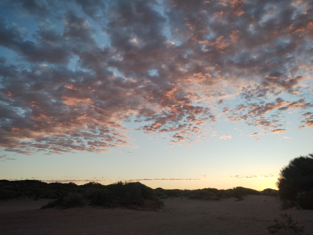 🇦🇺 Gratitude and a Farewell by the Sea in Ceduna