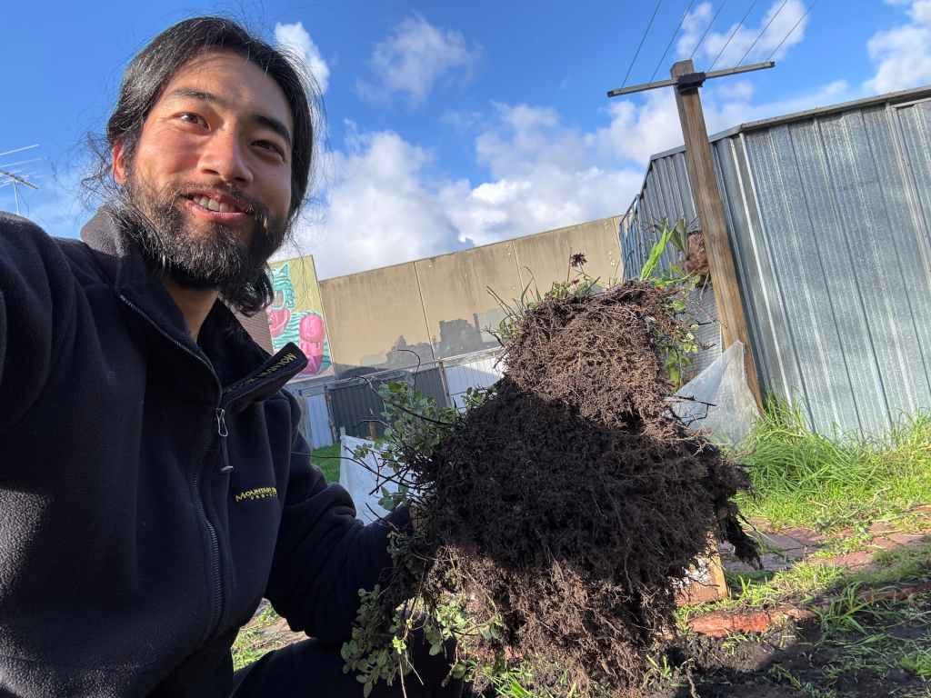 🇦🇺 Weeding in the Garden: Finding Everyday Meaning on the Journey