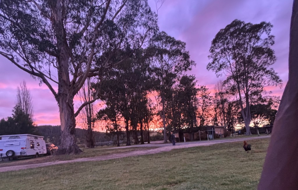 🇦🇺 Crossing into New South Wales: A Long Ride to Eden