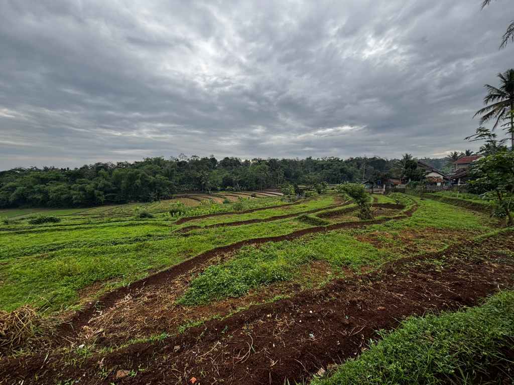 🇮🇩 Farewell to Kamasri: A Morning of Gratitude and New Roads Ahead