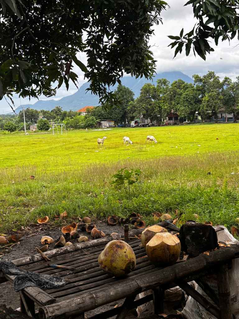 🇮🇩 A Rainy Climb to Mojokerto and the Kindness Found Along the Way