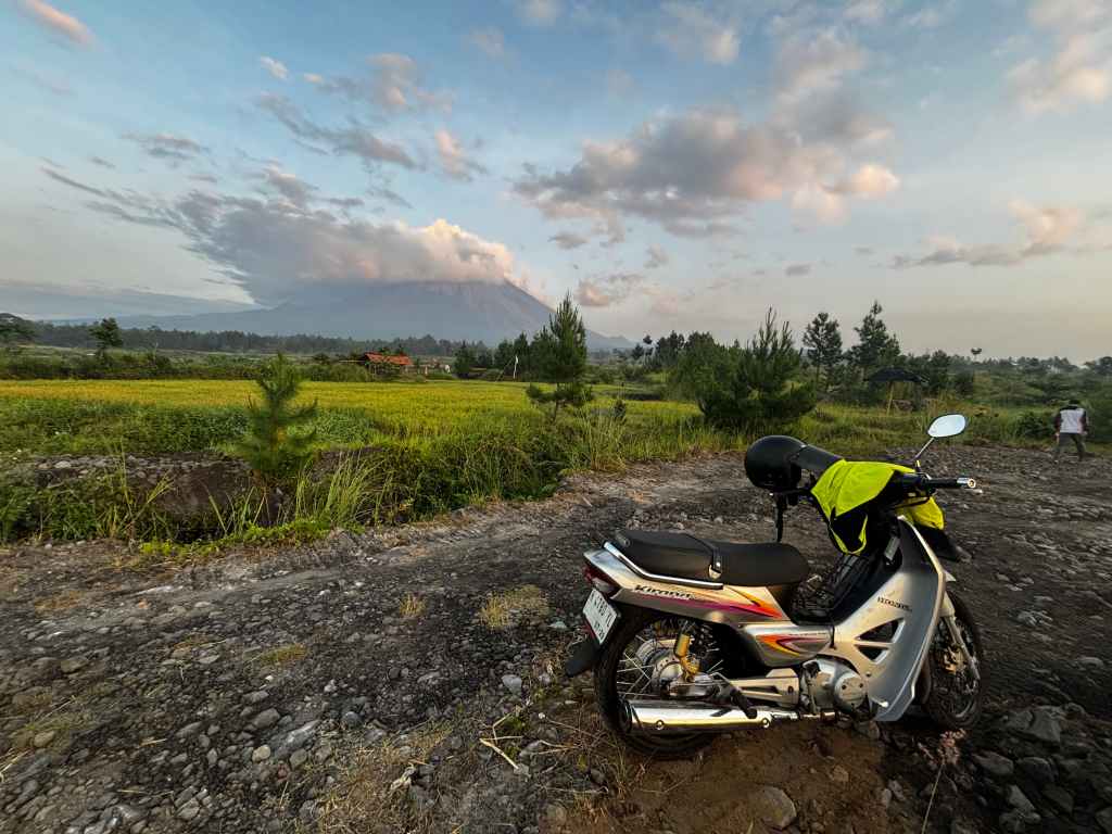 🇮🇩 A Morning in Pronojiwo: Mountains, Cows, and Kindness